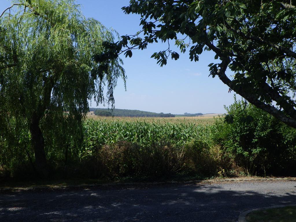 Les Gites Du Vieux Frene Longavesnes Bagian luar foto